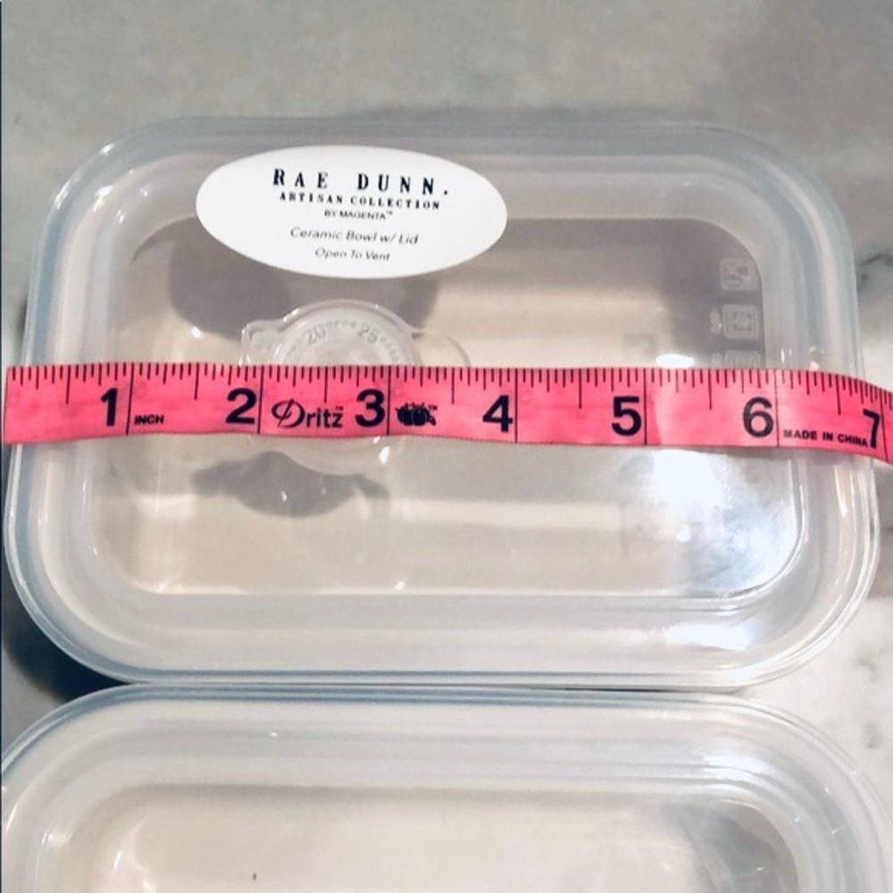NWT Rae Dunn 2 pieces Lunch & Delish Ceramic Containers Set with Vented Lid New - Picture 11 of 15